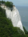 Kreidefelsen auf Rügen